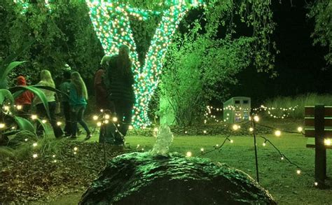 PHOTOS: Take a tour of Redding's twinkling Garden .
